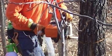 Chainsaw Workshop for Landowners 2022