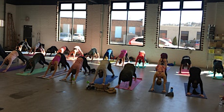 Yoga at Wormtown (Worcester)