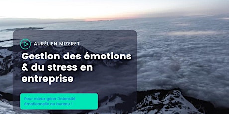Image principale de Gestion des émotions & du stress en entreprise en 2022