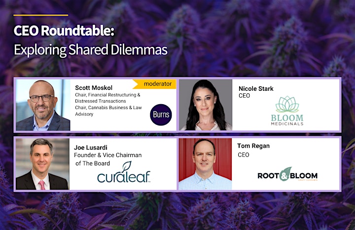Burns & Levinson's Sixth Annual State of the Cannabis Industry Conference image