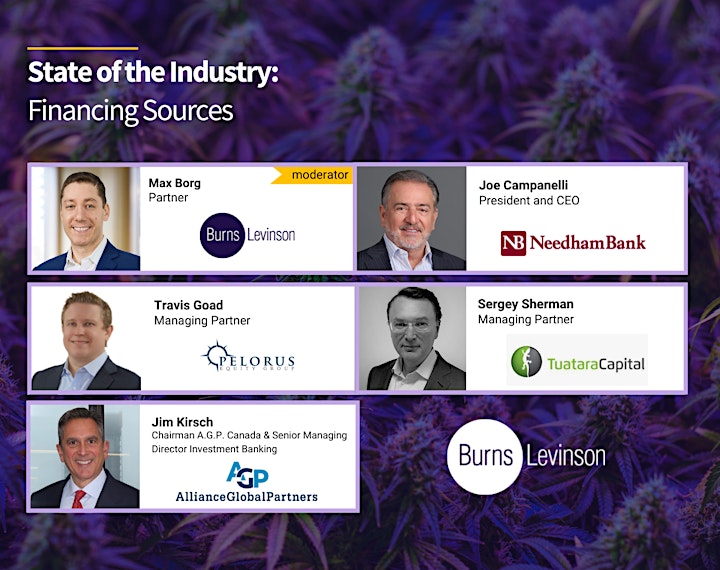 Burns & Levinson's Sixth Annual State of the Cannabis Industry Conference image