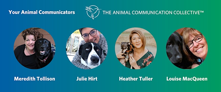 An Evening of Sharing Messages with The Animal Communication Collective image
