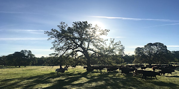 Grazing for Change 2018: 3rd Western Regional Grazing Conference