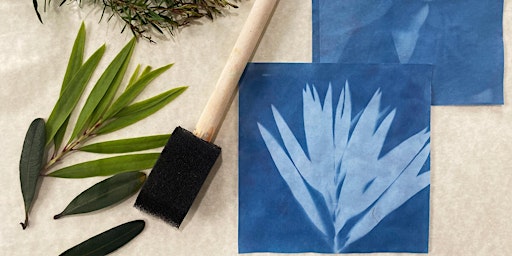 Make your own Cyanotypes