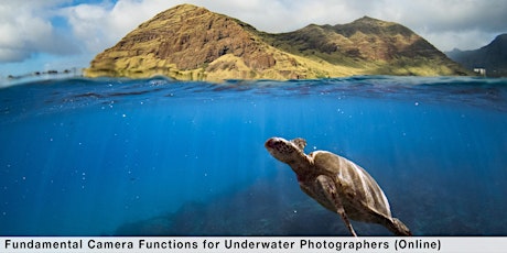 Fundamental Camera Functions for Underwater Photographers