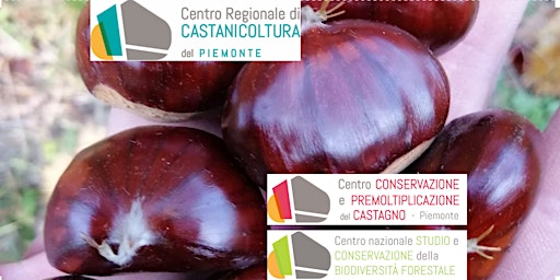 Centro Regionale Castanicoltura: Ricerca Giovani Biodiversità
