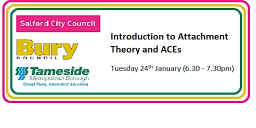 Introduction to attachment theory and ACEs (Early Years Workshop)