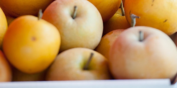 Food Safety and Recall Readiness Workshop for Agritourism Operators