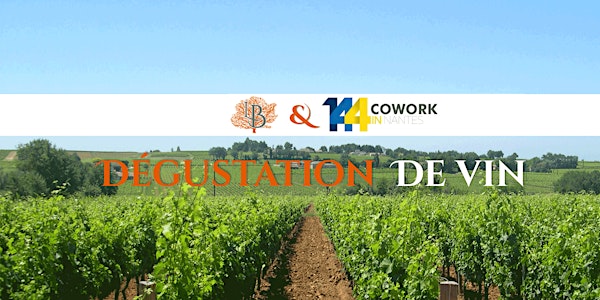Dégustation de vins naturels