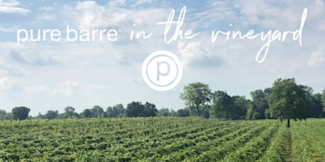 Pure Barre in the Vineyard