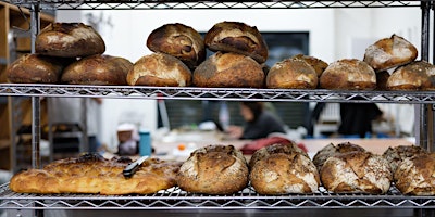 Primaire afbeelding van Bread Workshop