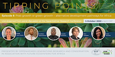 Post-growth or green-growth – alternative development pathways for Africa