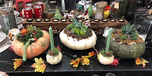 Fall Gourd and Succulent Centerpiece