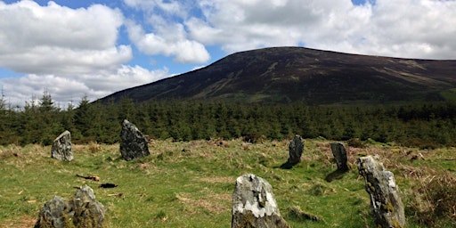 Imagem principal de Kilranelagh Rings Guided Walking Tour - Group discounts available!