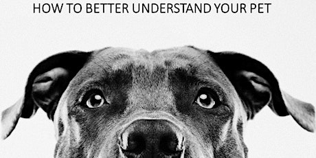 How To Better Understand Your Pet