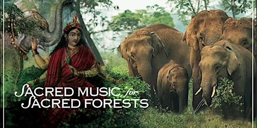Sacred Music for Sacred Forests