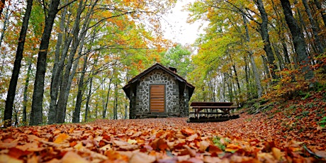 Immagine principale di Photo Walk la magia del Fall Foliage nel Parco Nazionale delle Foreste Casentinesi Monte Falterona e Campigna. 