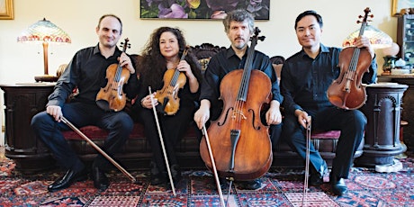 Dvořák: The Chamber Music Survey with the Sullivan Quartet