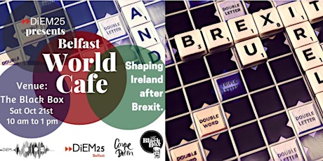 DiEM25 - Shaping Ireland after Brexit primary image