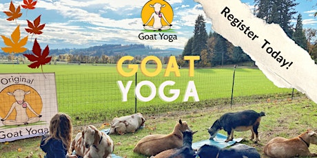 FALL in Love with the Original Goat Yoga & Goat Happy Hour