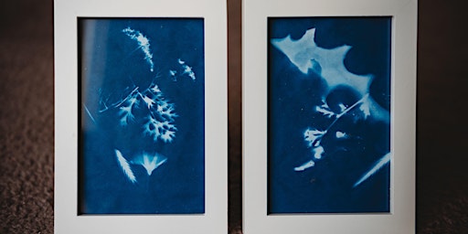 Vision Kids: Painting with Light: Cyanotypes PM