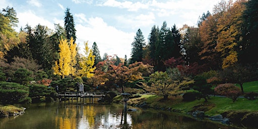 Film Photowalk: Seattle Japanese Garden