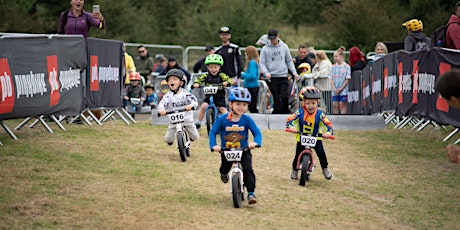 The Balance Bike World Championships - Quad Eliminator