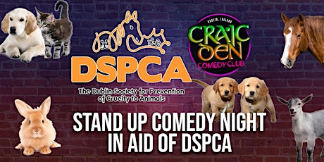 DSPCA Stand Up Comedy Fundraiser @ The Craic Den - Mulligan & Haines Bar