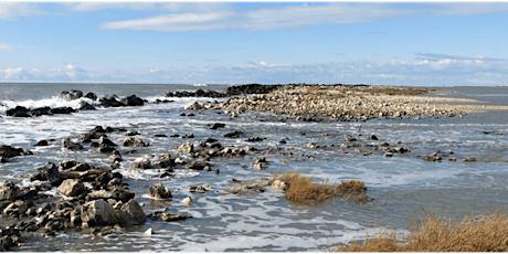 Image principale de Les zones humides littorales face au changement climatique - GREC-PACA (public professionnel)