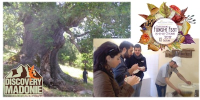 Funghi Fest e Natura: Visita al Pastore e Trekking alla Macchia dell'Inferno Funghi Fest e Natura: Visita al Pastore e Trekking alla Macchia dell'Inferno