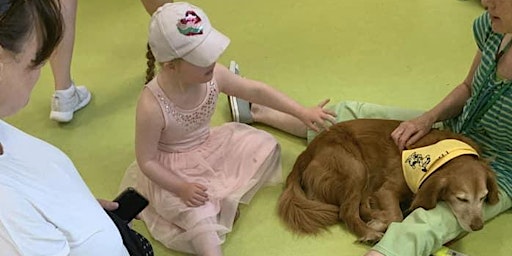 ASN Arts & Crafts and Therapy Dogs at Pets Corner Hazelhead age 4-10