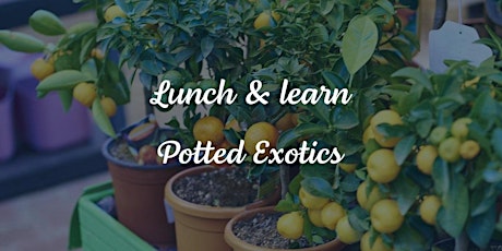 Lunch & Learn: Potted Exotics