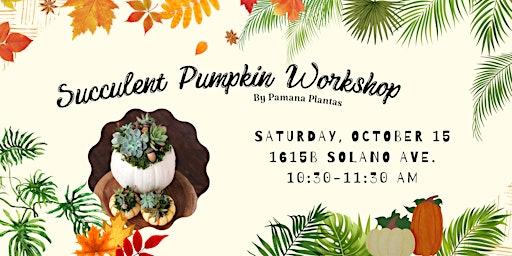 Succulent Pumpkin Workshop