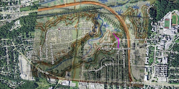Water Innovation Week: Coldspring Valley Guided Tour