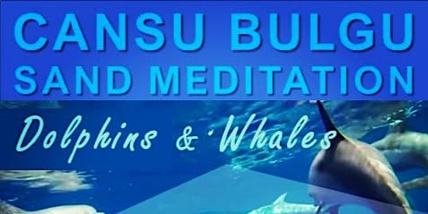SAND MEDITATION with DOLPHIN & WHALE SOUNDS