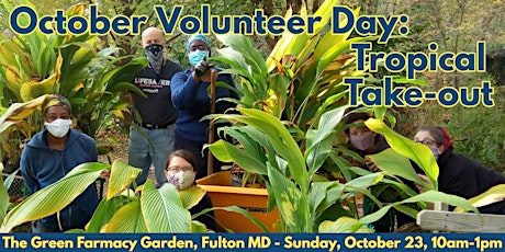 October Volunteer Day