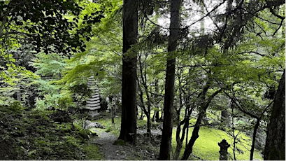 Tiny Japanese temple in the mountain with a moss garden