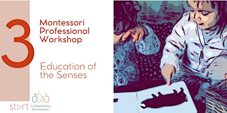 Sensorial Education in Montessori