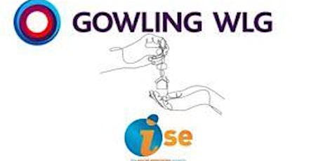 The Gowling Series with iSE - Data Protection
