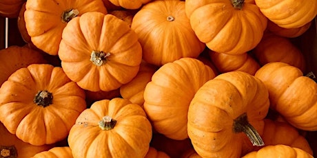 Bowmanville's Pumpkin Carving Contest