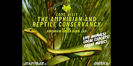 Live Reptiles and Amphibians of the Lowcountry