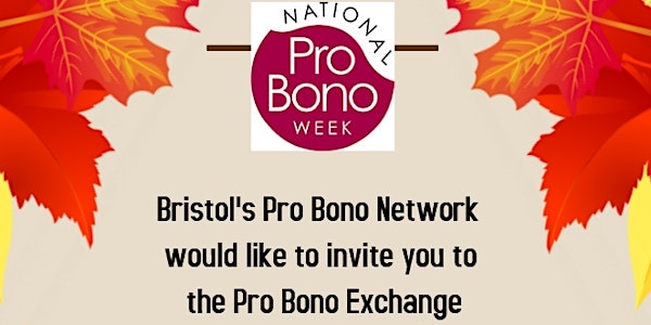 Connect - Exchange - Build - Pro Bono in Bristol and the South West 