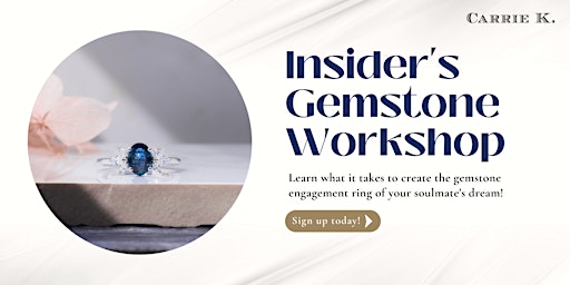 Insider's Gemstone Workshop by Carrie K.