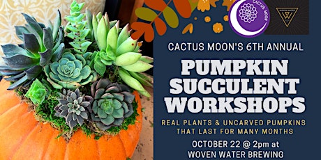 OCT 22 -  2PM: Pumpkin Succulent Workshop  at Woven Water Brewing