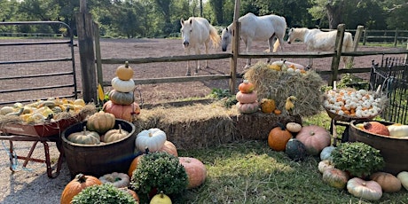 Fall Harvest Porch Decor Event