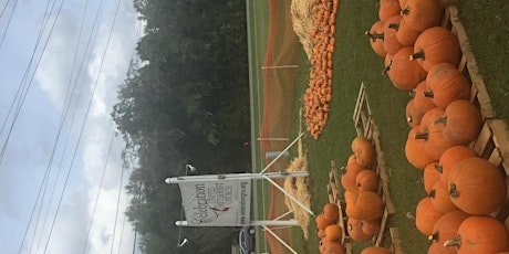 Pumpkin Patch primary image