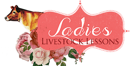 2018 Ladies Livestock Lessons primary image