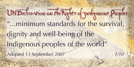 Implementing the UN Declaration on the Rights of Indigenous Peoples primary image