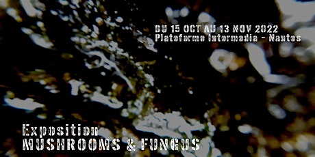 Exposition Mushrooms & Fungus