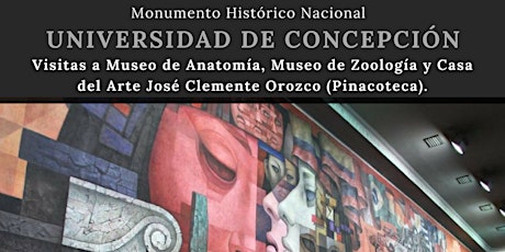 Imagen principal de Visita: Patrimonio Universidad de Concepción 